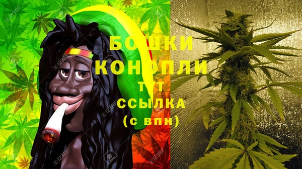 круглые Белокуриха