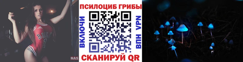 наркошоп  Верея  omg ссылка  Галлюциногенные грибы Cubensis 
